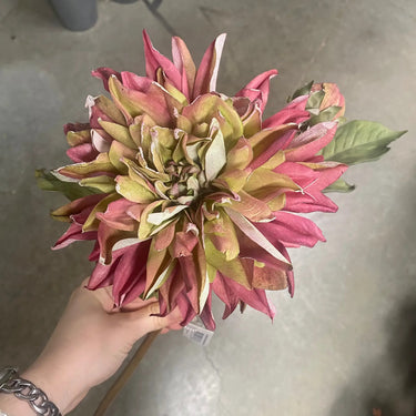 Direct Export Dried Dahlia Bud Stem Yellow-Pink - Artificial Flowering Plants Silk