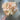Supreme Peony/Hydrangea Bouquet Soft Peach 14" - Uncategorized Silk