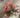 Le Fleur Peony Eucalyptus Bundle Burgundy 12" - Uncategorized Silk