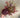 Le Fleur Peony Eucalyptus Bundle Burgundy 22" - Uncategorized Silk