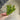 Supreme Succulent Pick Green 7" - Uncategorized Silk