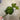 Supreme Succulent Stem 9" - Silk