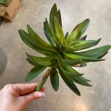 Supreme Succulent Pick Green 9" - Artificial Non-Flowering Plants Silk