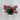 Evergreen Home and Floral Petunia Mauve Potted Plant - Uncategorized