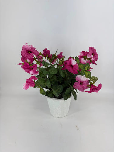 Evergreen Home and Floral Petunia Mauve Potted Plant - Uncategorized