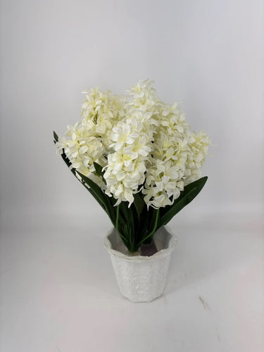Evergreen Home and Floral Hyacinth Cream Potted Plant - Uncategorized
