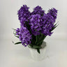 Evergreen Home and Floral Hyacinth Purple Potted Plant - Uncategorized