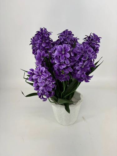 Evergreen Home and Floral Hyacinth Purple Potted Plant - Uncategorized