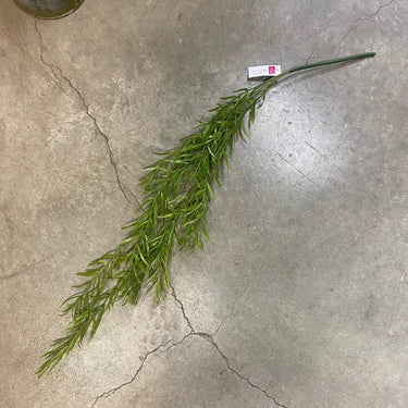 GSC Podocarpus Hanging Bush - Uncategorized Silk