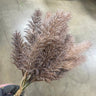 Supreme Pampas Bundle Brown 16" - Artificial Non-Flowering Plants Silk