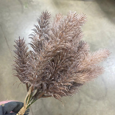 Supreme Pampas Bundle Brown 16" - Artificial Non-Flowering Plants Silk
