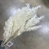 Le Fleur Pampas Bush Cream 15" - Uncategorized Silk