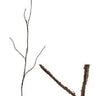 AmBest Berry Branch - Uncategorized Silk