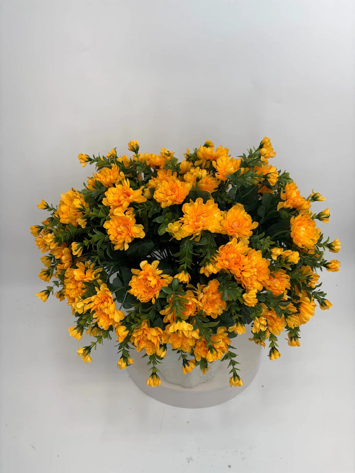 Mandarin Yellow Mum - Potted w/ 2 Bushes
