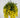 GSC Wisteria Yellow Hanging Basket - Artificial Flora Hanging Basket & Porch Pots