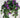 Direct UV Purple Petunia Hanging Basket - Uncategorized Hanging Basket & Porch Pots