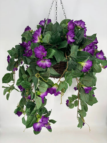 Direct UV Purple Petunia Hanging Basket - Uncategorized Hanging Basket & Porch Pots