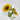 Supreme Sunflower Spray Yellow 36" - Uncategorized Silk
