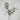 Le Fleur Soft Touch Olive Spray 40" - Uncategorized Silk