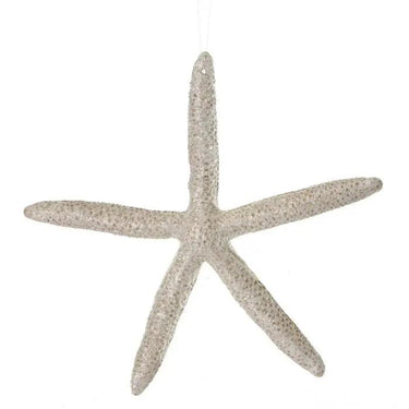Regency Frosted Leggy Starfish Ornament 6" - Holiday Ornaments Merchandise