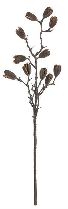 Select Split Pod Spray Brown 36" - Uncategorized Silk