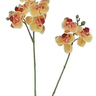Select Real Touch Mini Phalaenopsis Orchid Orange - Uncategorized Silk