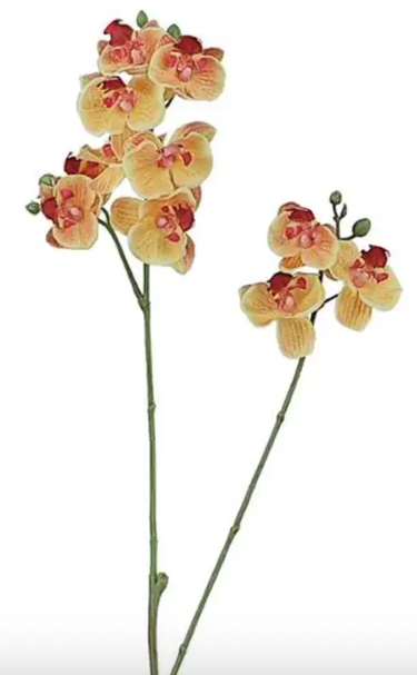 Select Real Touch Mini Phalaenopsis Orchid Orange - Uncategorized Silk