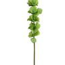 Select Bells Of Ireland Green 37" - Artificial Flowering Plants Silk