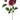 Select Pinnate Dahlia Spray Fuchsia 24" - Uncategorized Silk