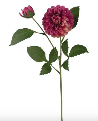 Select Pinnate Dahlia Spray Fuchsia 24" - Uncategorized Silk