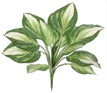 Select Hosta Plant Bush 24" - Uncategorized Silk