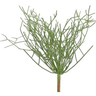 Select UV Pencil Cactus Plant 16" - Artificial Non-Flowering Plants Silk