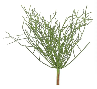 Select UV Pencil Cactus Plant 16" - Artificial Non-Flowering Plants Silk