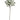 Silk Cypress Branch, 33-inch, green foliage, by Select