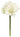 Select Amaryllis Spray Cream - Uncategorized Silk