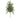 Juniper/Cypress Silk Spray, green, 28 inches long for decor