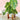 FreshCut Paper LLC Monstera Pop-Up Greeting Card - Greeting Cards Merchandise