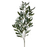 Regency Andalusia Olive Branch 38" - Uncategorized Silk