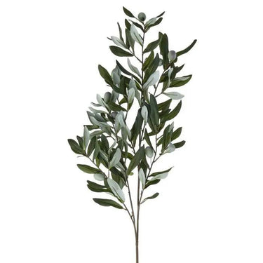 Regency Andalusia Olive Branch 38" - Uncategorized Silk