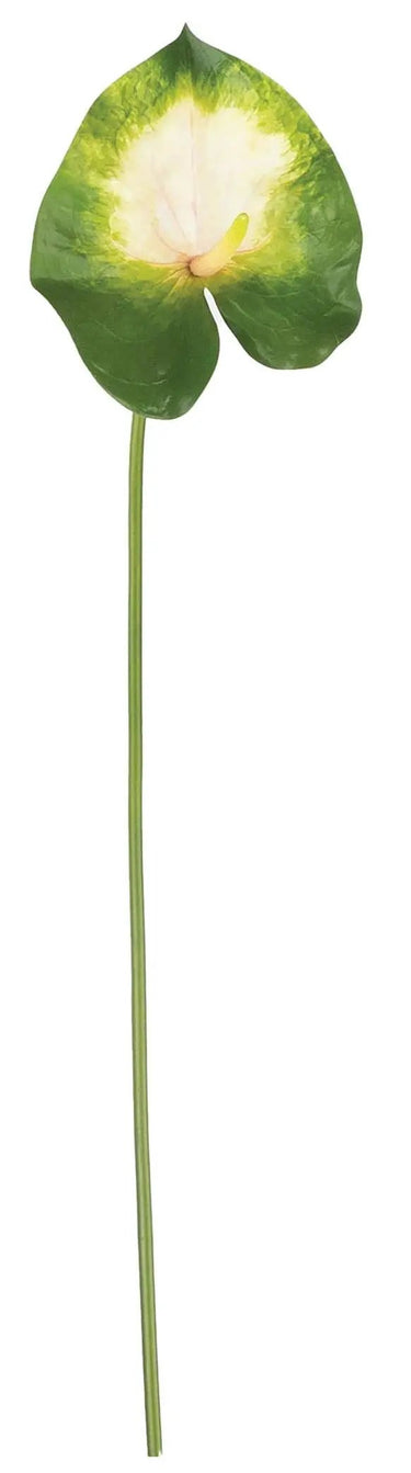 Select Anthurium Cream 32" - Artificial Non-Flowering Plants Silk