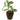 Allstate Apple Leaf Plant with Soil Base Green 6" - Artificial Non-Flowering Plants Silk