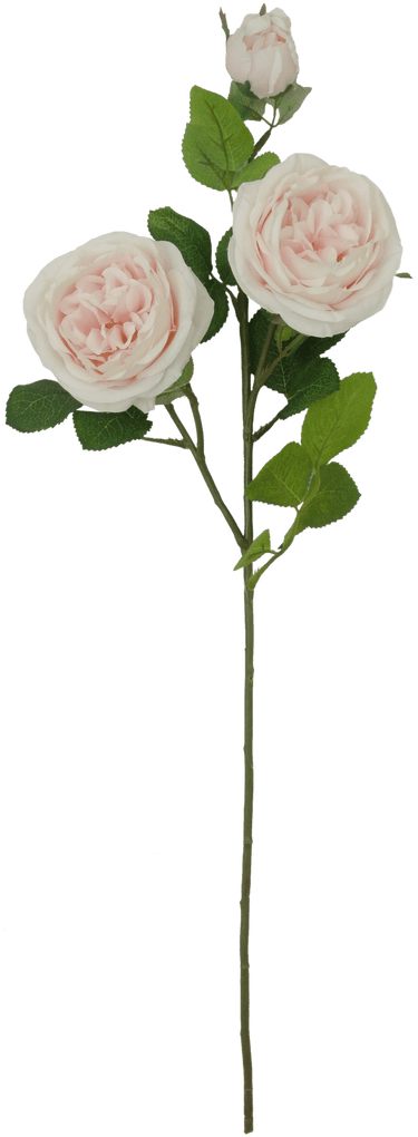 Golden Bell Austin Rose Spray Pink 30" - Uncategorized Silk