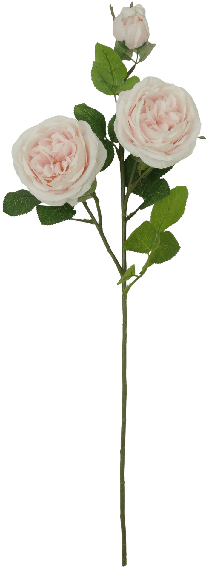 Frosted Petals · Florals & Picks