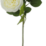 Golden Bell Austin Rose Spray White 30" - Artificial Flowering Plants Silk