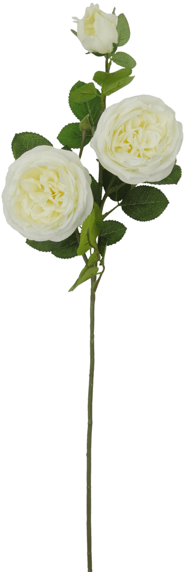 Golden Bell Austin Rose Spray White 30" - Artificial Flowering Plants Silk