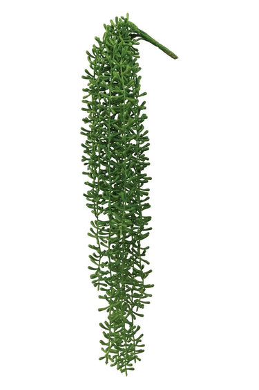 Select Baby Tears Succulent Pick 20" - Uncategorized Silk