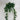 Le Fleur Bamboo Leaves Hanging Bush Green - Artificial Non-Flowering Plants Silk
