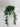 Le Fleur Bamboo Leaves Hanging Bush Green - Artificial Non-Flowering Plants Silk