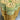 Bee Bella Bee Bella Lip Balm Honeydew Melon - Lip Balms Bath & Body