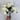 Direct Export Begonia Bush White 10" - Artificial Flora Silk